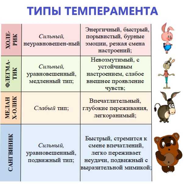 Как нарисовать винни-пуха карандашом поэтапно. как нарисовать пятачка? форум закрыт пятачок карандашом