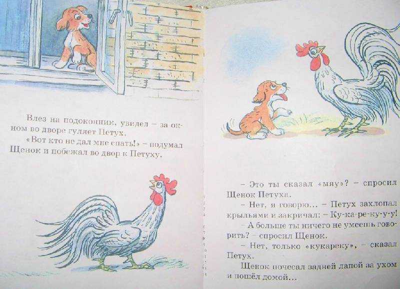 Кто сказал мяу