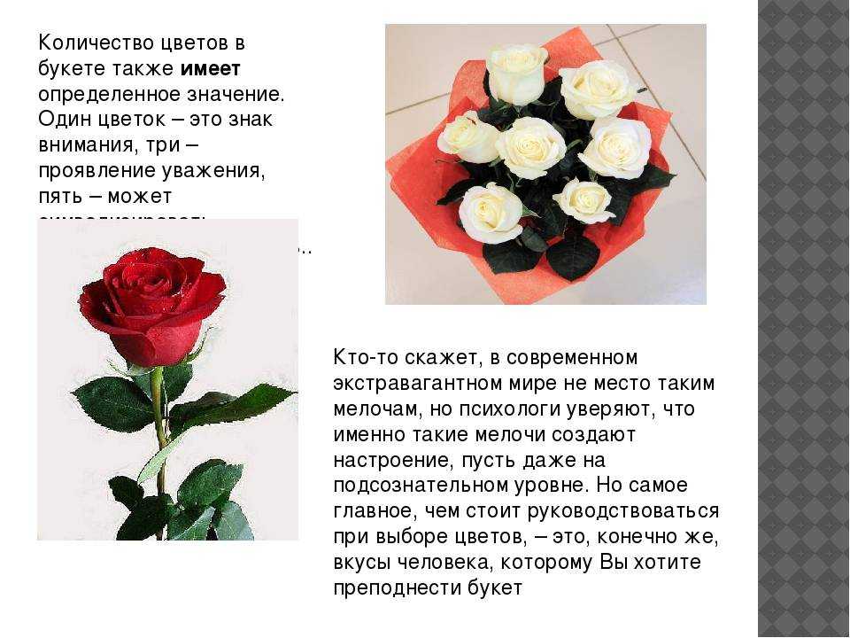 Сколько роз можно дарить в подарок?