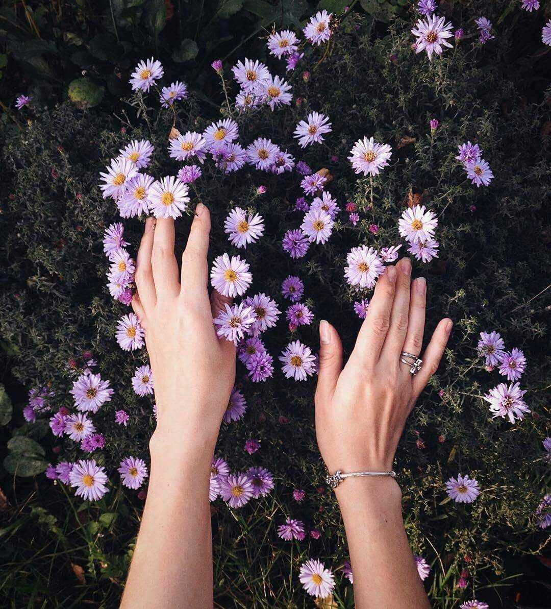 Цветы и руки Эстетика