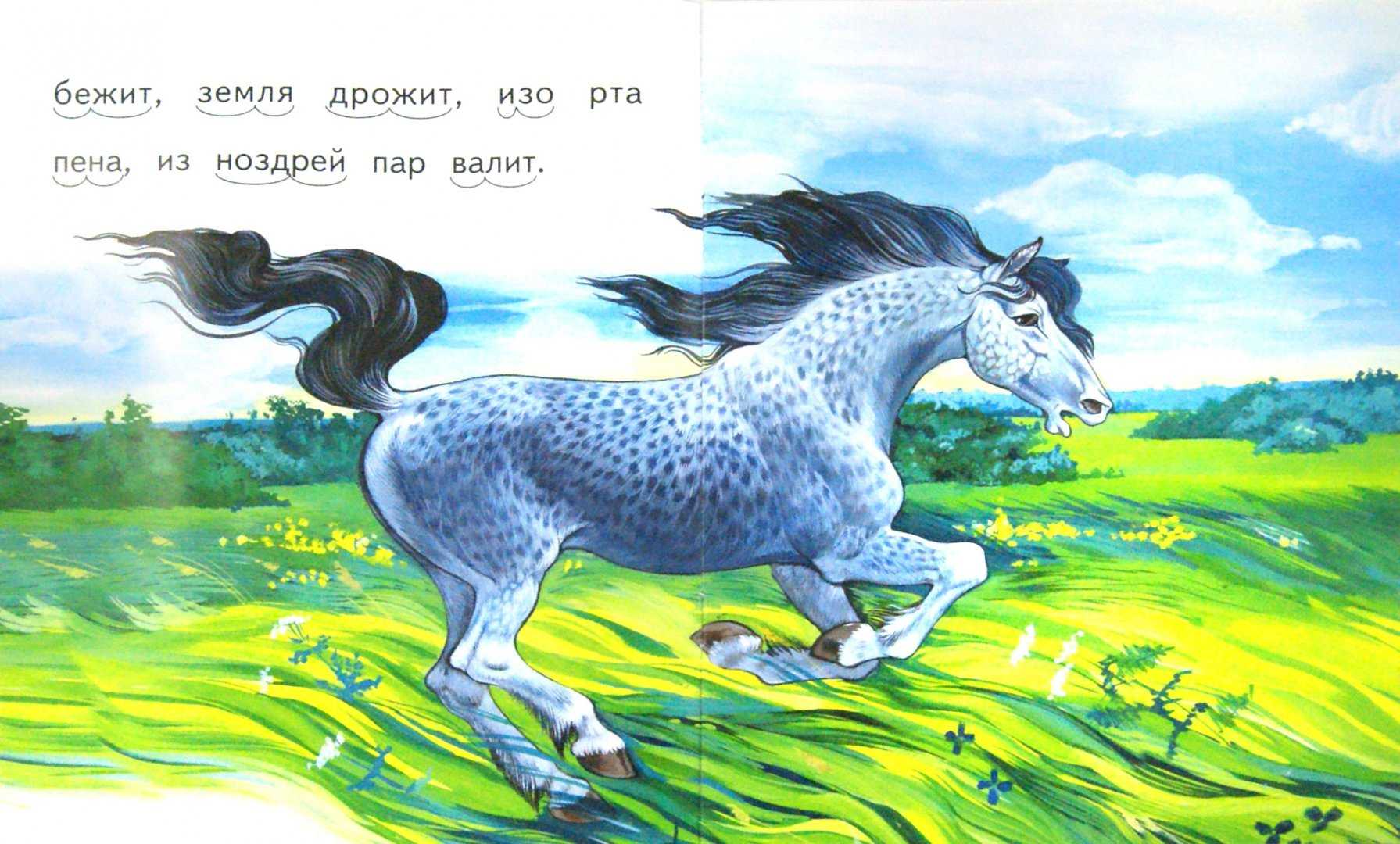 Сказка про зелёную лошадь - сказки юрия коваля: читать с картинками, иллюстрациями - сказка dy9.ru