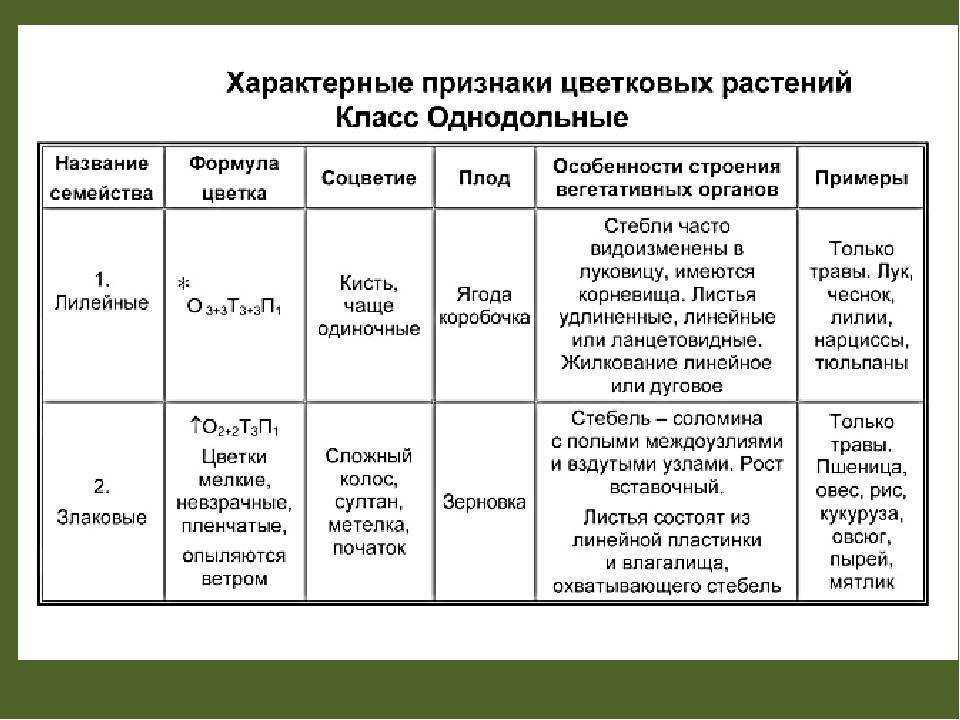 Таблица признаки двудольных и однодольных