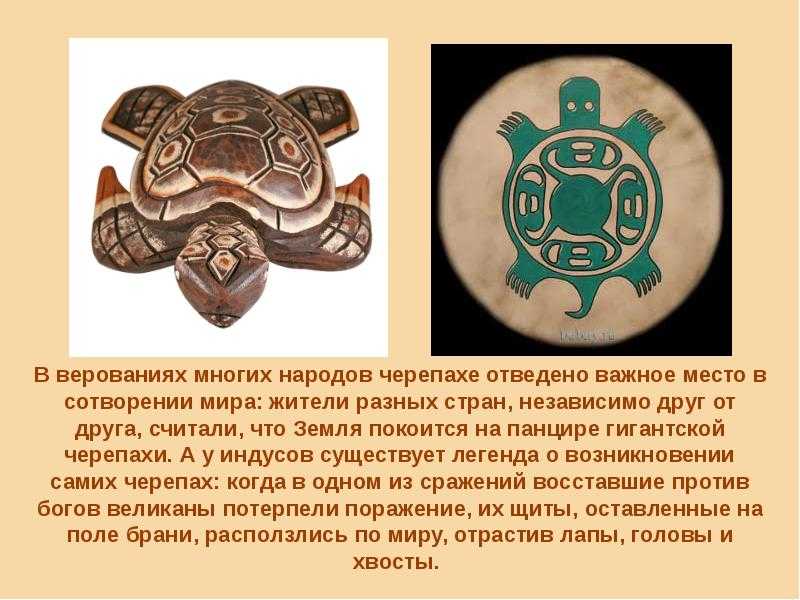 Главные герои сказки буратино (характеристики)