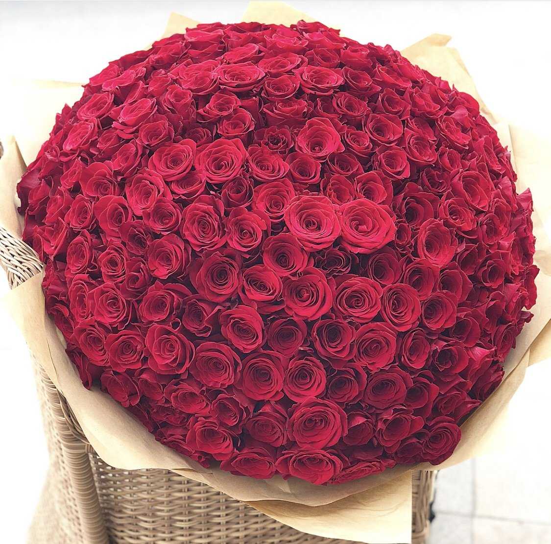 Рубиновые розы букет