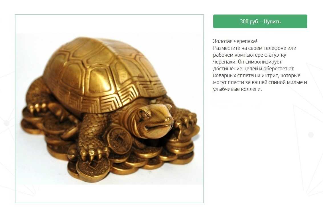 Как сделать черепаху из пластилина и ракушек