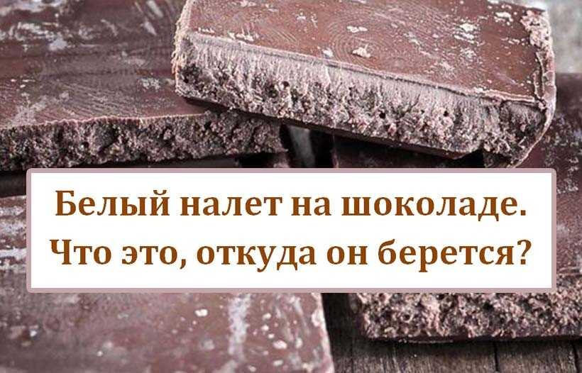 Сорта и виды мягких сыров - названия, фото и описания