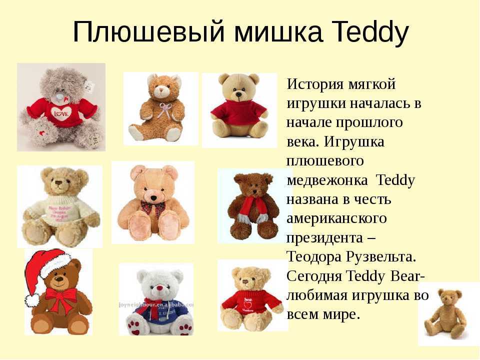 Медведь — разновидности, ареал обитания, питание, содержание в неволе + 83 фото