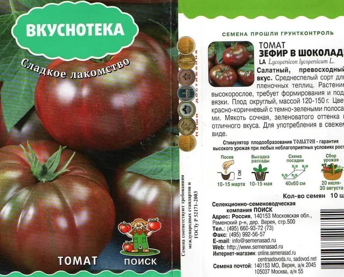 Топ-6 рецептов зефира, как приготовить зефир в домашних условиях