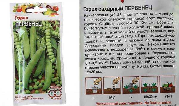 Фиолетовый горох: лучшие сорта, описание и характеристика, выращивание с фото