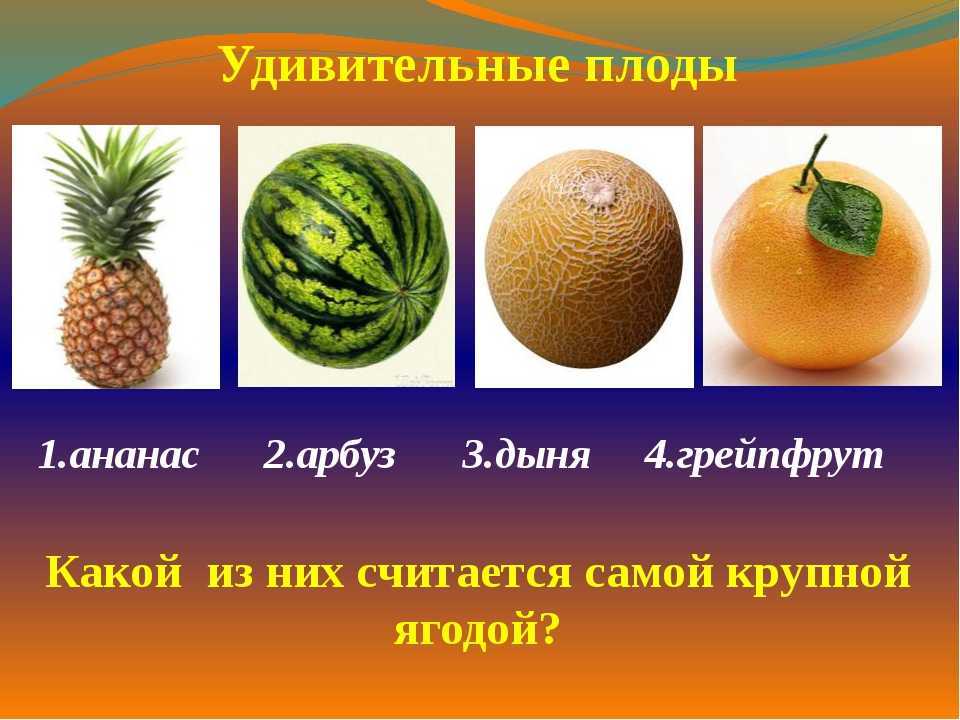 Как нарисовать ананас  поэтапно 7 уроков