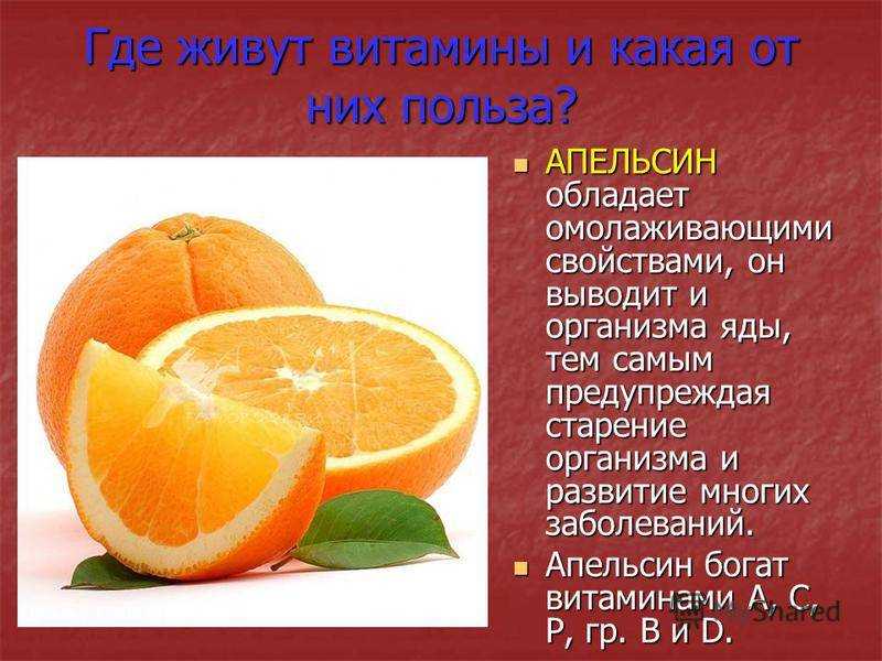 [мирабилис: 95+ фото сортов 2023] секреты ухода и посадки