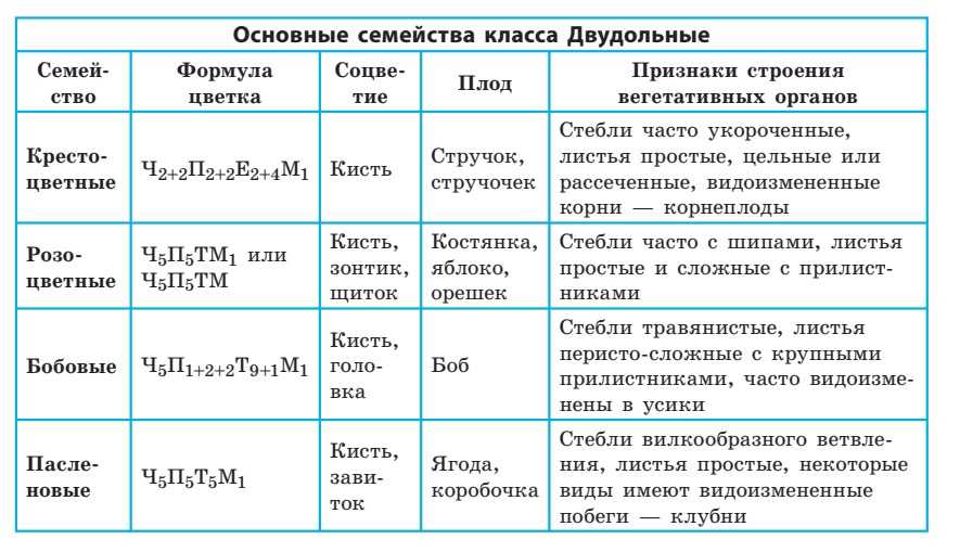 Морфологический анализ растений класса двудольные по гербарным образцам