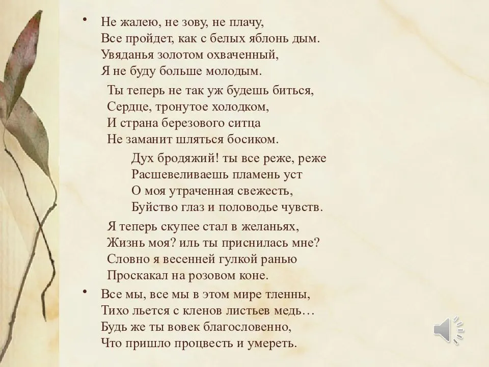 Красивые садовые многолетники с желтыми цветами