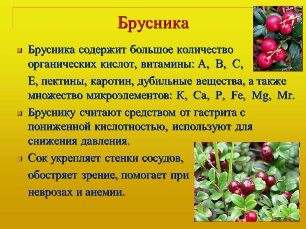 Топ-5 зелени, которую я использую. часть 2