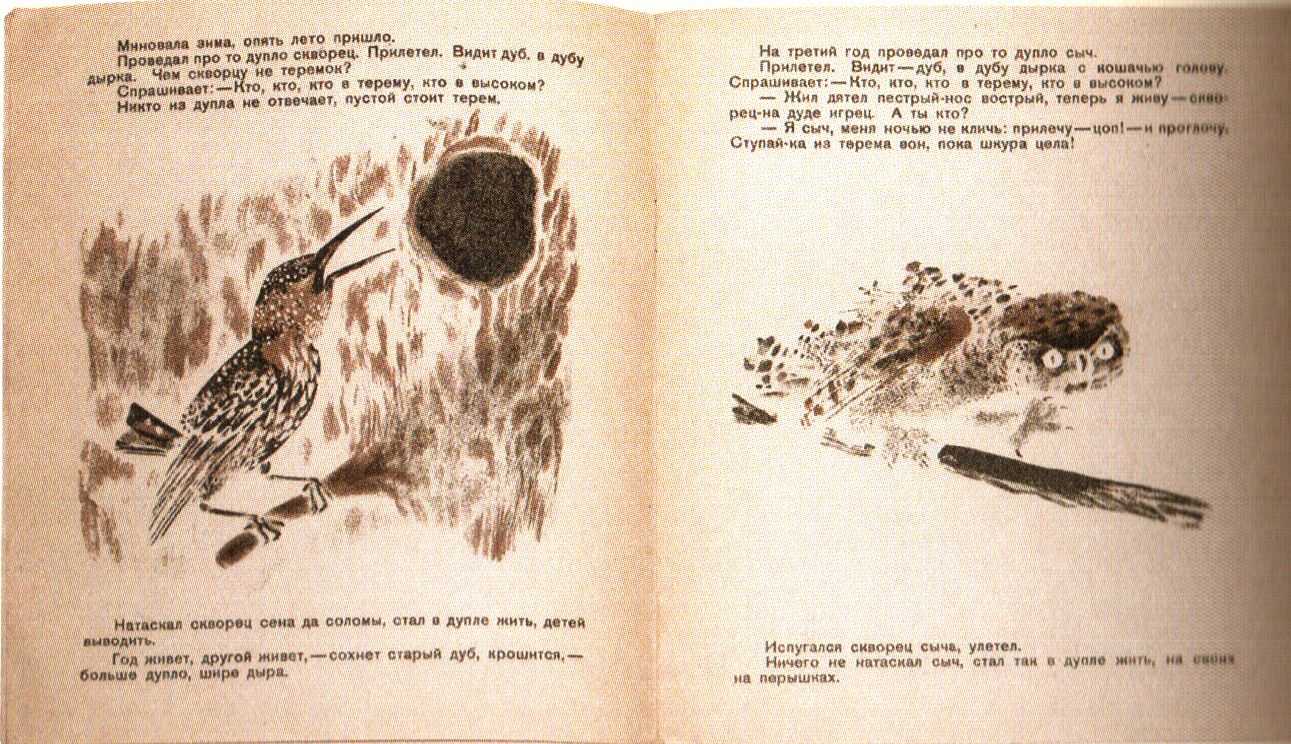 Теремок — сказка виталия бианки