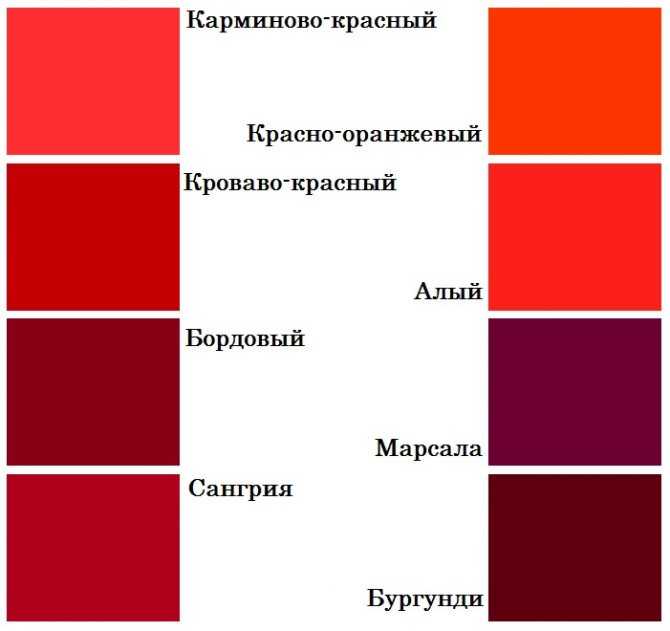 С чем сочетается бордовый цвет в одежде, советы по комбинированию, фото