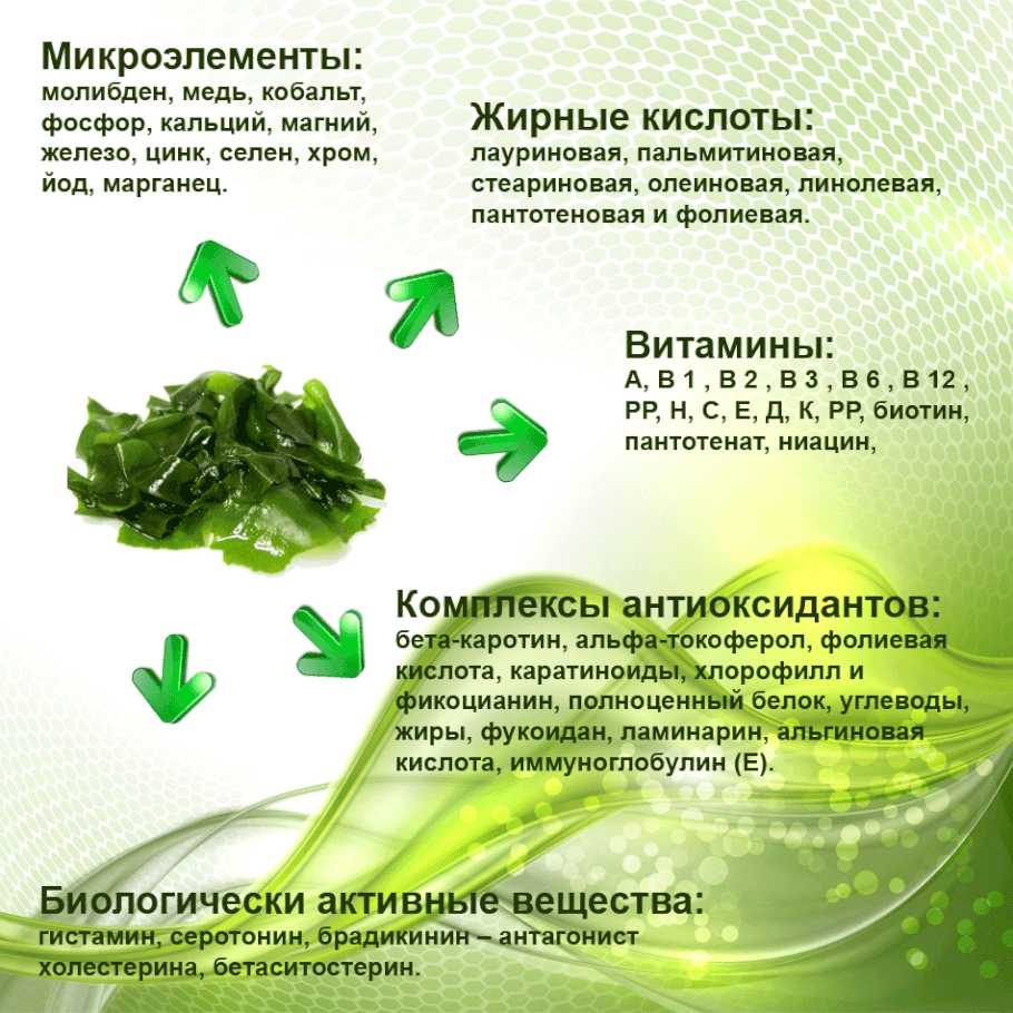 Польза водорослей — обзор 8 самых востребованных водорослей