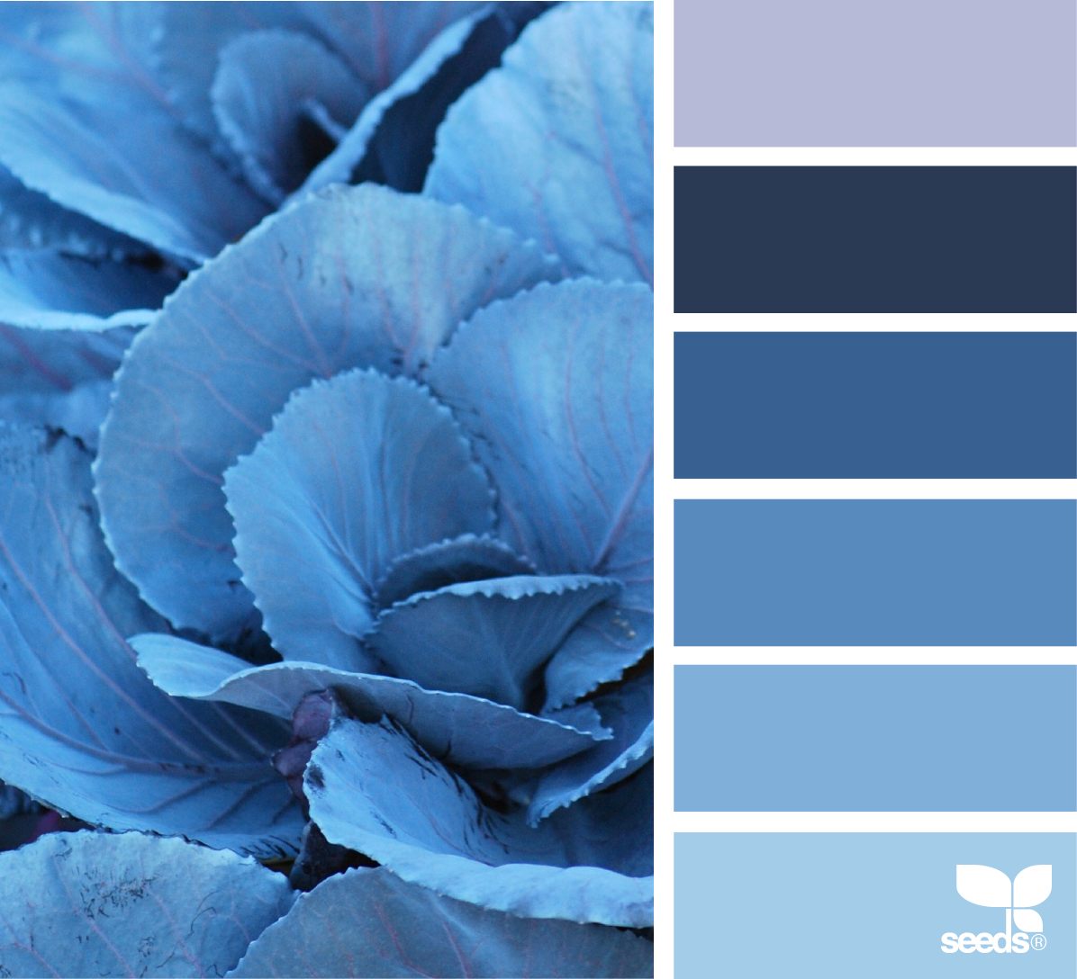 Пантон Берлинская лазурь. Элис Блю цвет. Палитра синих цветов. Голубая гамма цветов.