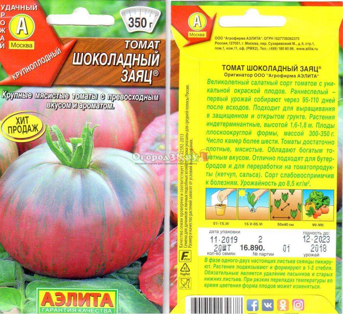 Томат шоколадный зайчик