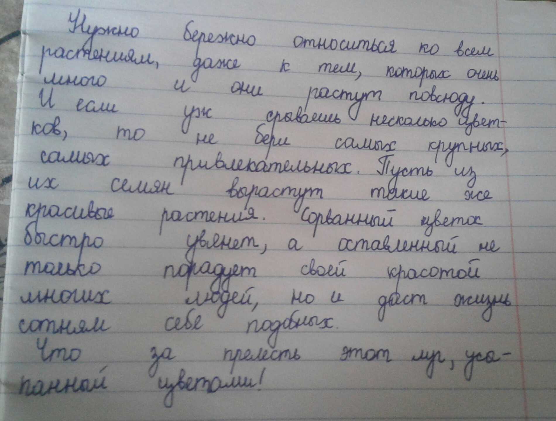 Удивительные торты