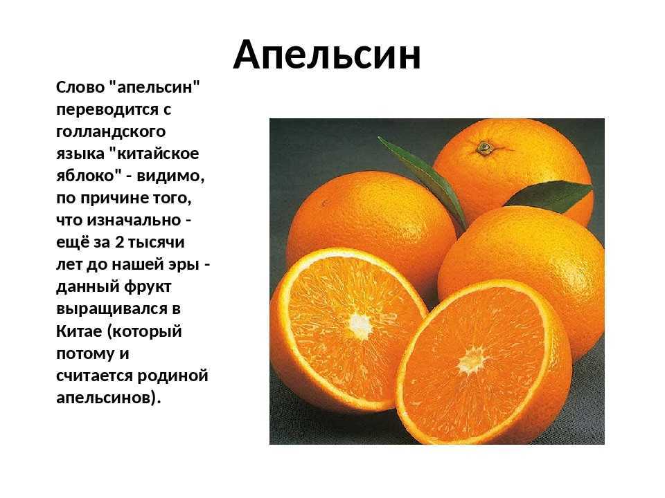 Померанец: сорта и выращивание дома