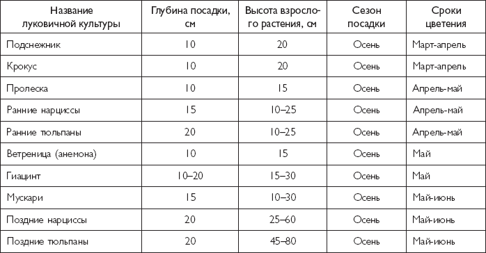 Морозостойкие цветы