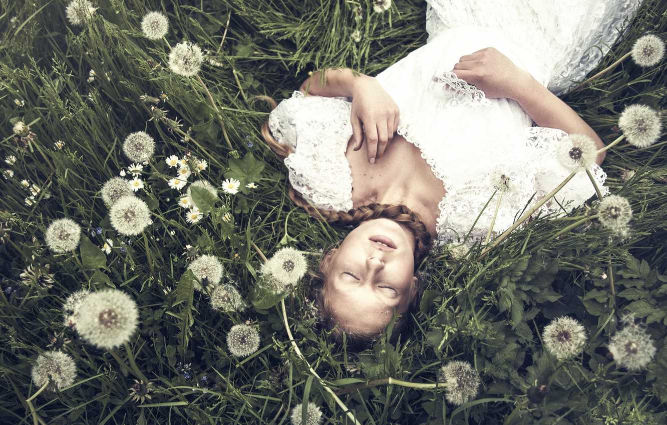 10 самых интересных фактов об одуванчиках