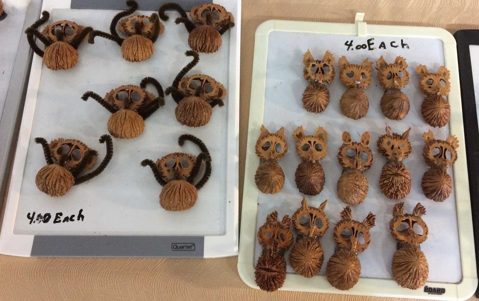 Макадамия орех: как вырастить в домашних условиях