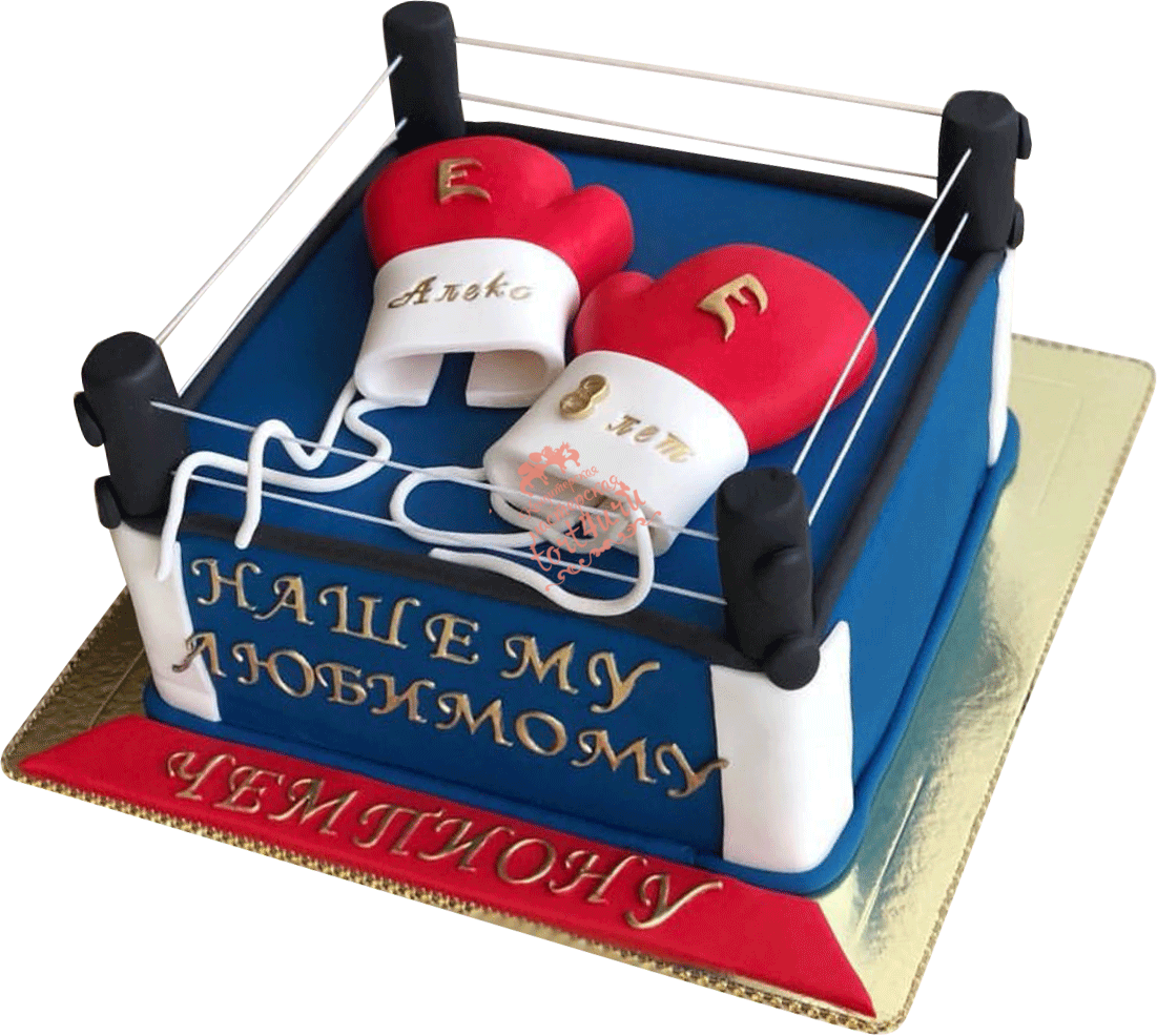 Государственное бюджетное учреждение дополнительного образования тверской области "спортивная школа олимпийского резерва по боксу и кикбоксингу"