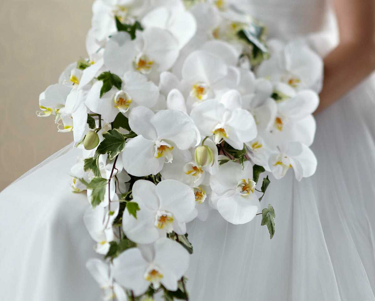 Орхидея Дендробиум свадебный букет