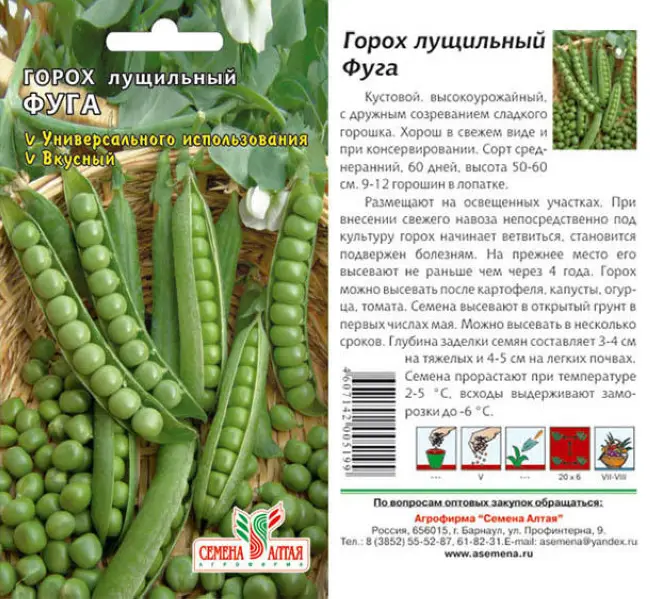 Топ-20 урожайных сортов гороха с фото и описанием