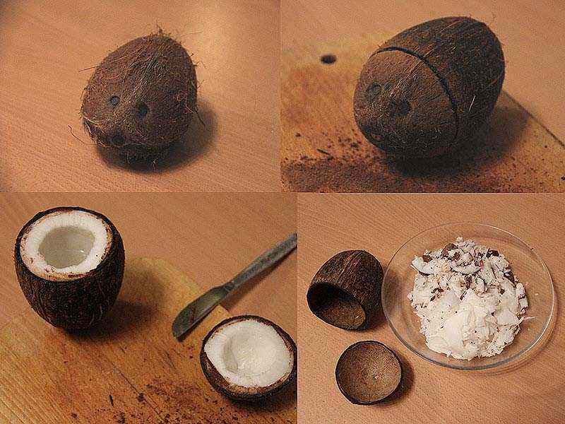 Что можно сделать из кокосовой скорлупы