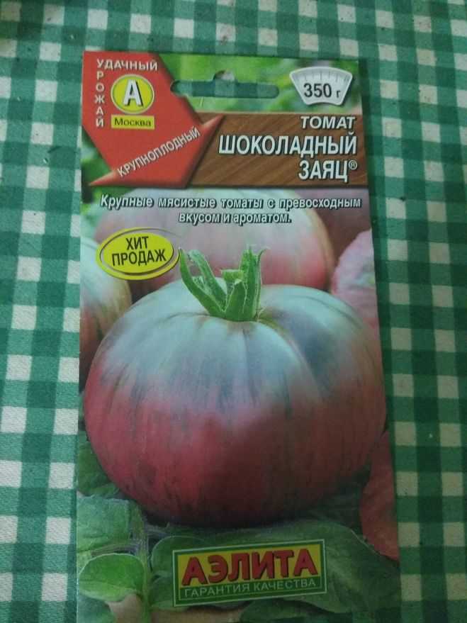 Томат шоколадный зайчик