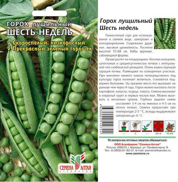 Душистый горошек в саду: посадка и уход, виды и фото, применение