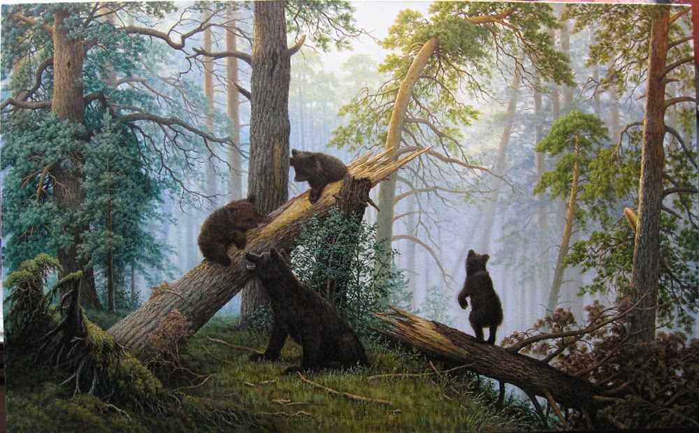 Мишки в лесу
