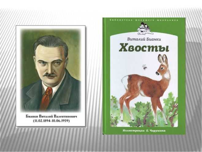 Хвосты - рассказ виталия бианки читать с картинками