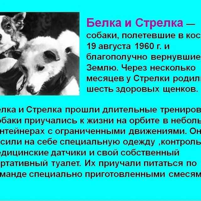 Белоснежный бисквит на белках пошаговый рецепт с фото