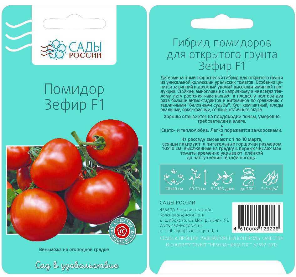Томат зефир в шоколаде - описание сорта, характеристика, урожайность, отзывы, фото