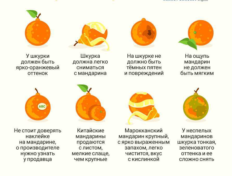 Как называется цветок померанцева дерево. померанец: сорта и выращивание дома