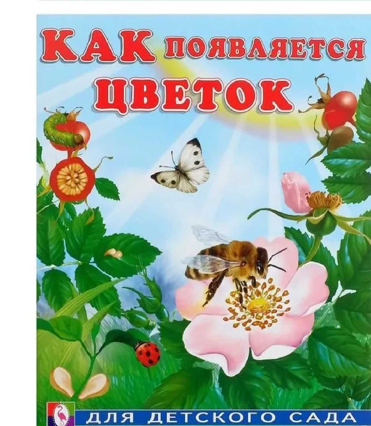 Цветы кашка лечебные свойства