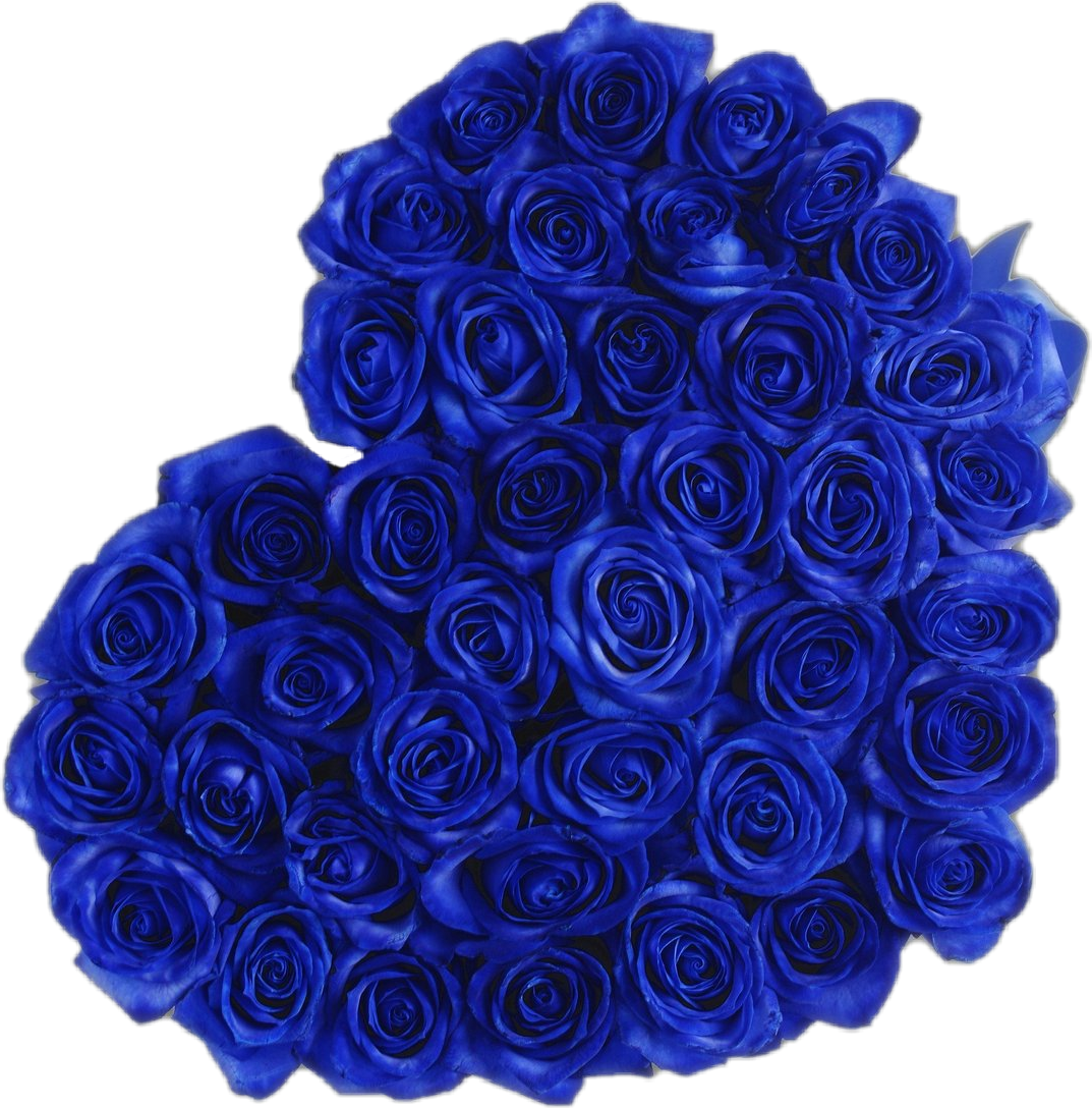 Синие цветы. Шикарный букет синих роз. Шикарный букет из синих роз.