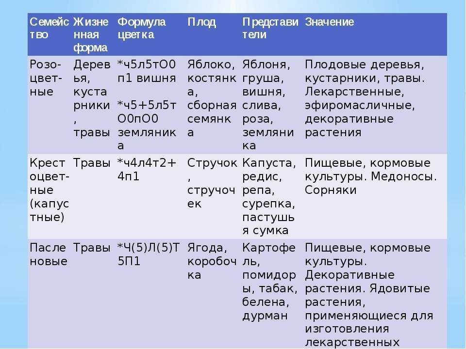 Однодольные и двудольные растения