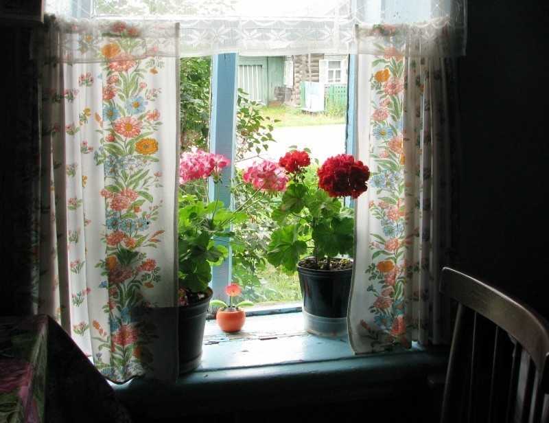 Цветов на бабушкина. Цветы на подоконнике. Герань на деревенском окне. Деревенский подоконник с цветами. Окно с цветами на подоконнике.