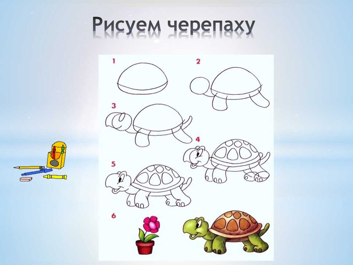 Как нарисовать черепаху 1 класс