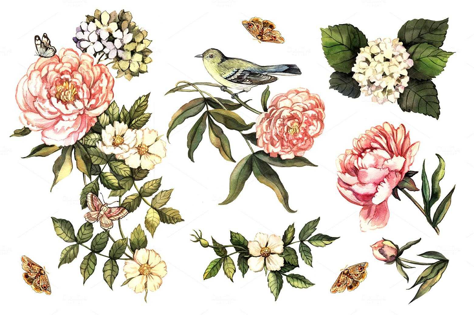 Cliparts from anna : vintage flowers. винтажные цветы. png.