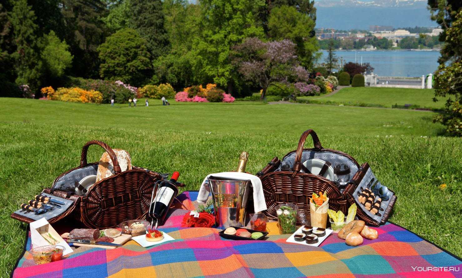 Picnic | едопедия вики | fandom