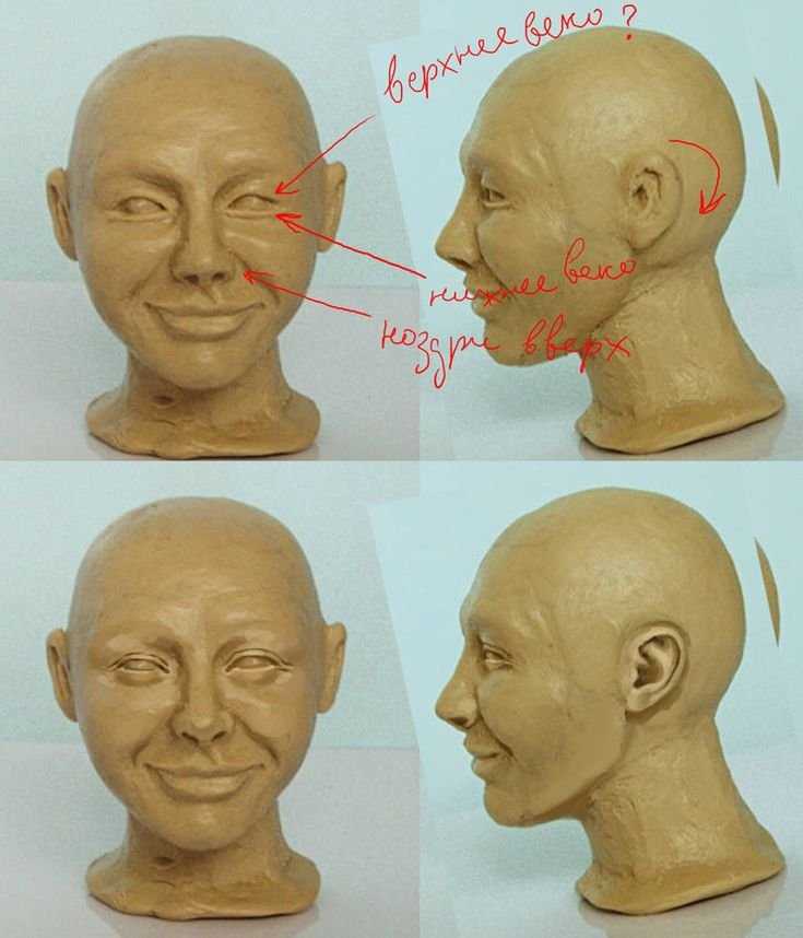 Лепка головы человека. Поэтапная лепка головы. Слепить голову человека. Голова из скульптурного пластилина.
