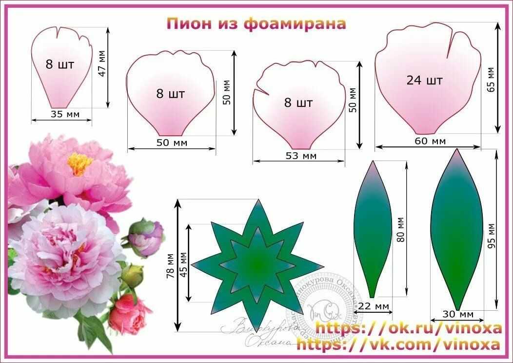 Многолетние цветы для дачи. каталог цветов, фото с названиями и кратким описанием
