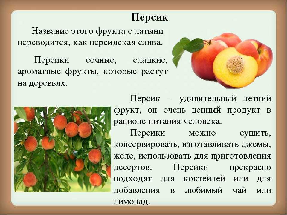 Персиковый цвет (52 фото): яркие фруктовые всплески в интерьере - happymodern.ru