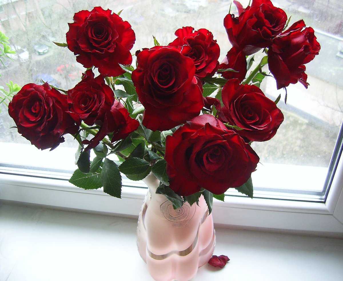 розы в вазе дома на столе